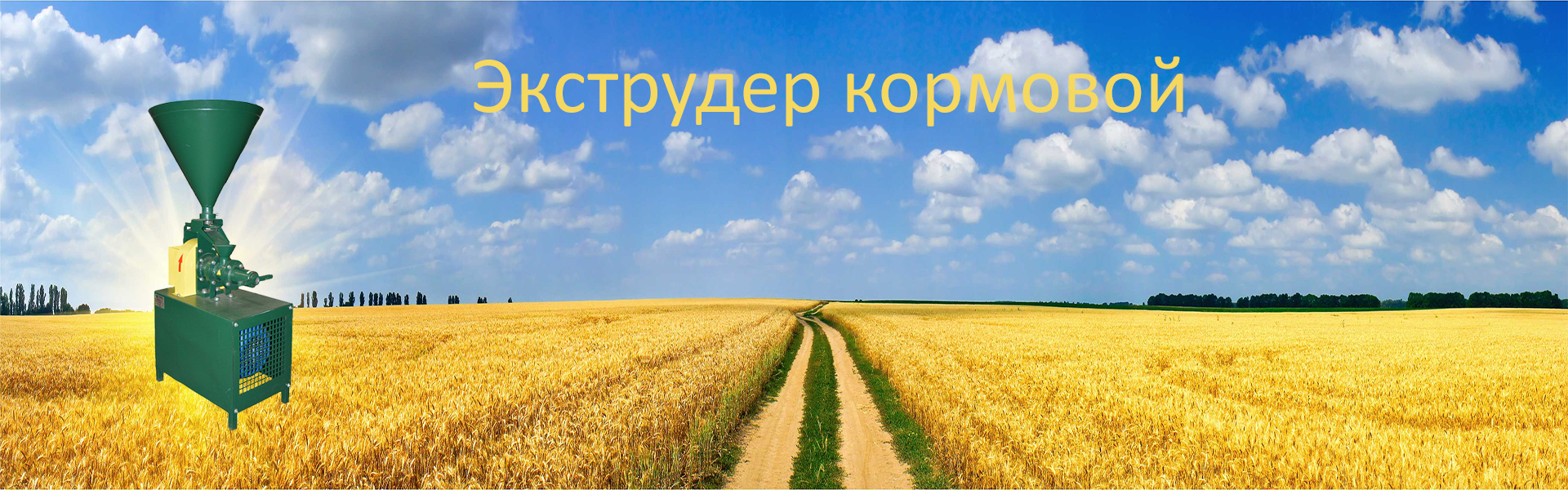 Зёрна